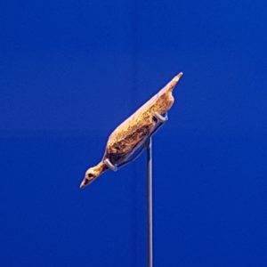 The water bird vom Hohlefels is an animal shaped figure carved from mammoth ivory, which was excavated in the cave "Hohle Fels" at the southern foot of the Swabian Alb in Germany. The figurine is up to approx. 40,000 years old and one example of the many finds of similar figurines in the region which mark the oldest known creative works of early humans. At 40,000 years old, it is the oldest known bird image in the world. The body of the